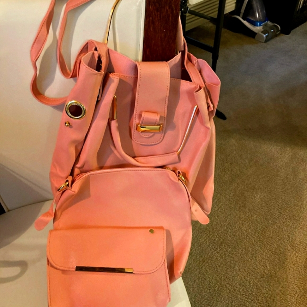 Hobo Purse